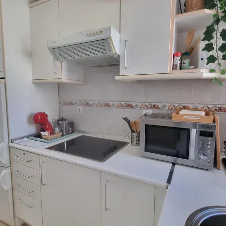 Apartman Centro Y Playa *